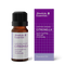 Citronella Organic 10ml-Absolute Essential-Matakana Pharmacy