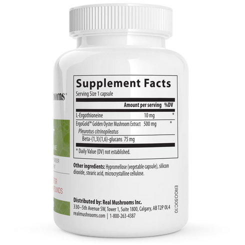 Ergo+ 60 Capsules-Real Mushrooms-Matakana Pharmacy