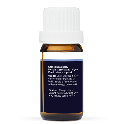 Ginger Pure Essential Oil 10ml, side of the bottle showing the botanical name and directions