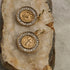 Earrings - Seraph Symbol - Disc-Queen Of The Foxes-Matakana Pharmacy
