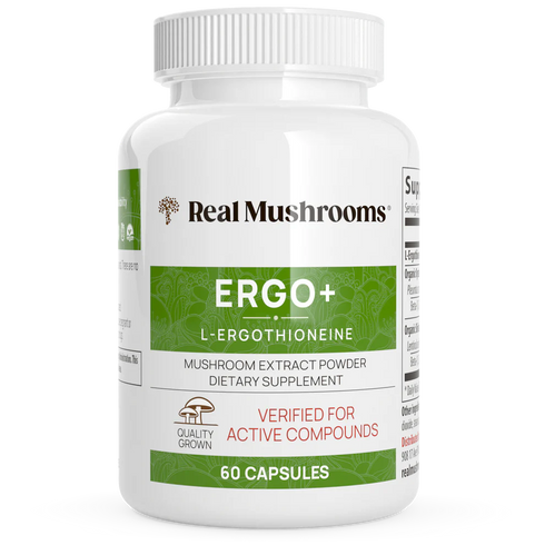 Ergo+ 60 Capsules-Real Mushrooms-Matakana Pharmacy