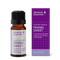 Fennel Sweet Organic 10ml-Absolute Essential-Matakana Pharmacy