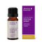 Festive Spirit 10ml-Absolute Essential-Matakana Pharmacy