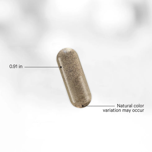 GLP Harmony Companion 60 Capsules-CODEAGE-Matakana Pharmacy