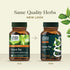 Green Tea 60 Capsules-Gaia Herbs-Matakana Pharmacy