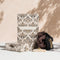 Gift Set - Luxe Little Things-Queen Of The Foxes-Matakana Pharmacy