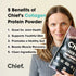 Collagen Protein Dark Chocolate Powder 450g-Chief-Matakana Pharmacy