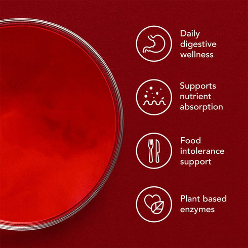 Gut Digest 60 Capsules-Gutsi-Matakana Pharmacy