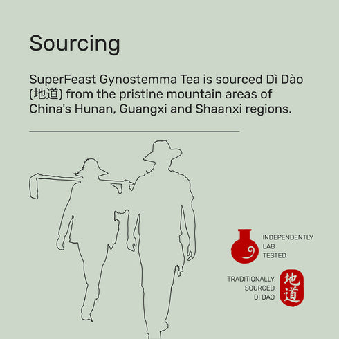 Gynostemma Tea Bag 100g | Superfeast