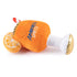 Apawrol Spritz Squeaker Dog Toy-Haute Diggity Dog-Matakana Pharmacy
