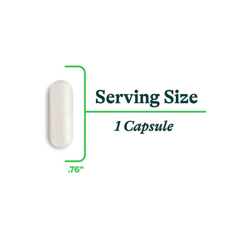 Histamine Digest / DAO Enzyme 30caps-Seeking Health-Matakana Pharmacy