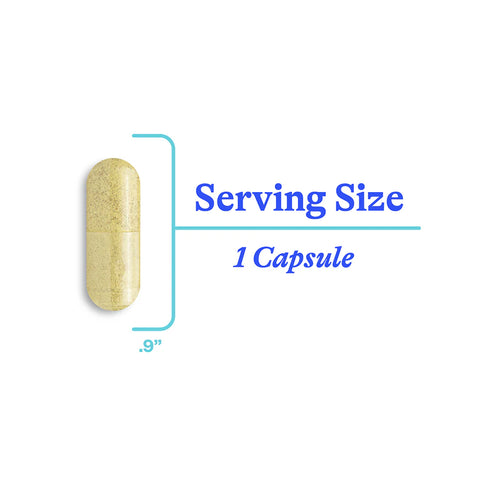 Histaminx 60caps-Seeking Health-Matakana Pharmacy