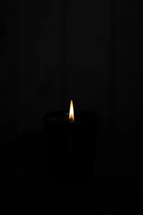 Amipere & Moss Bark Candle 270g-Real World-Matakana Pharmacy