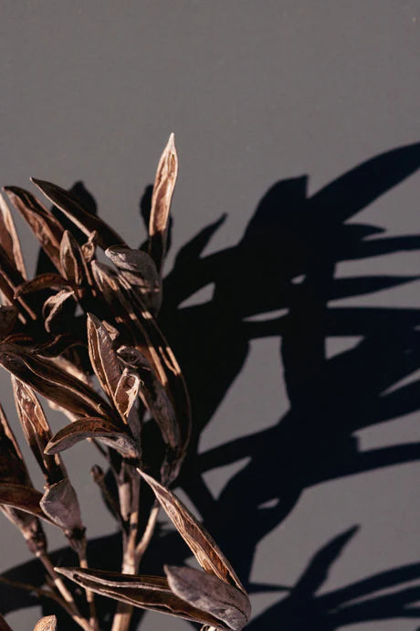 Restore Harakeke & Blood Orange Hand Wash 500ml-Real World-Matakana Pharmacy