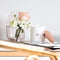 Amber Fig Soy Candle 300g-Linden Leaves-Matakana Pharmacy