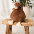 Cuddly Kuwi The Kiwi Soft Toy-Illustrated Publishing-Matakana Pharmacy