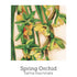 Inner Stability Support 20ml Spray-First Light Natural Health-Matakana Pharmacy