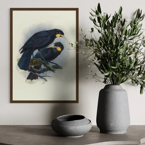 Johannes Keulemans - Print - Huia A3-Te Papa Store-Matakana Pharmacy