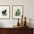 Johannes Keulemans - Print - Bush Wren - Matuhituhi and Rock Wren - Piwauwau-Te Papa Store-Matakana Pharmacy