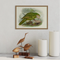 Johannes Keulemans - Print - Kakapo A4-Te Papa Store-Matakana Pharmacy