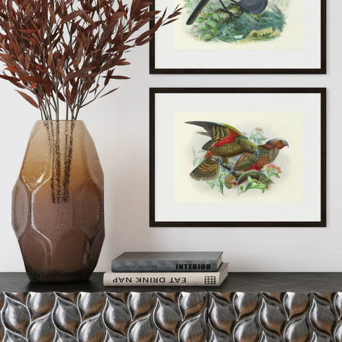Johannes Keulemans - Print - Kea and Kaka A4-Te Papa Store-Matakana Pharmacy