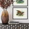 Johannes Keulemans - Print - Kea and Kaka A4-Te Papa Store-Matakana Pharmacy