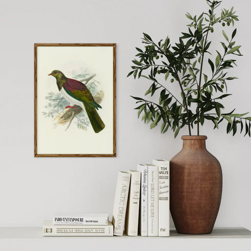 Johannes Keulemans - Print - New Zealand Pigeon - Kereru-Te Papa Store-Matakana Pharmacy