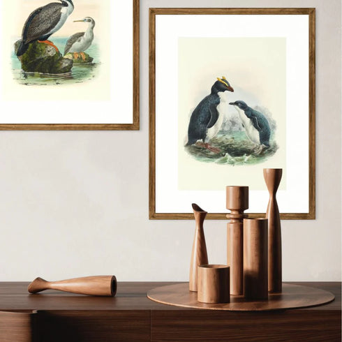 Johannes Keulemans - Print - Fiordland Crested Penguin - Tawaki and Little Penguin - Korora A4-Te Papa Store-Matakana Pharmacy
