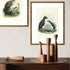 Johannes Keulemans - Print - Fiordland Crested Penguin - Tawaki and Little Penguin - Korora A4-Te Papa Store-Matakana Pharmacy
