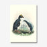 Johannes Keulemans - Print - Fiordland Crested Penguin - Tawaki and Little Penguin - Korora A4-Te Papa Store-Matakana Pharmacy