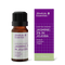 Jasmine 3% in Jojoba Organic 10ml-Absolute Essential-Matakana Pharmacy