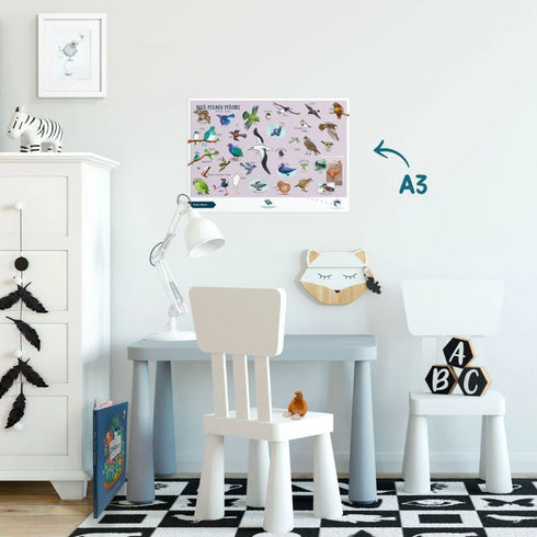 Te Reo Maori Native Birds Poster A3-Illustrated Publishing-Matakana Pharmacy