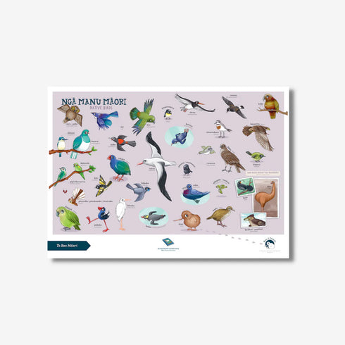 Te Reo Maori Native Birds Poster A3-Illustrated Publishing-Matakana Pharmacy