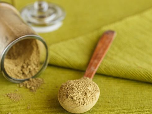 Gold Kiwifruit Powder NZ Freeze Dried 20kg-Matakana Superfoods-Matakana Pharmacy