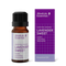 Lavender Sweet Organic 10ml-Absolute Essential-Matakana Pharmacy