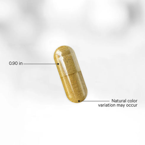 Liposomal Moringa 180 Capsules-CODEAGE-Matakana Pharmacy