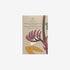 Native Drawer Sachet Lemongrass, Ginger and Clary Sage-Manuka House NZ-Matakana Pharmacy
