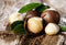 Macadamia Nuts Raw Unsalted Single Source 11.34kg-Matakana Superfoods-Matakana Pharmacy