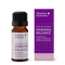 Morning Balance Organic 10ml-Absolute Essential-Matakana Pharmacy