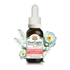 Mothers Support Drops 20ml-First Light Natural Health-Matakana Pharmacy