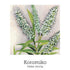 Mothers Support Drops 20ml-First Light Natural Health-Matakana Pharmacy