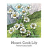 Mothers Support Drops 20ml-First Light Natural Health-Matakana Pharmacy