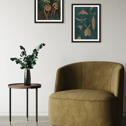 Eileen Mayo - Print - Moths on the window A3-Te Papa Store-Matakana Pharmacy