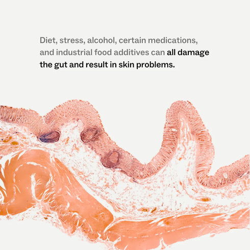 Skin + Gut 60 Capsules-my way up-Matakana Pharmacy