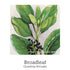 New Beginnings Support Drops 20ml-First Light Natural Health-Matakana Pharmacy