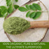 Organic Moringa Leaf Powder 240g-Grenera-Matakana Pharmacy