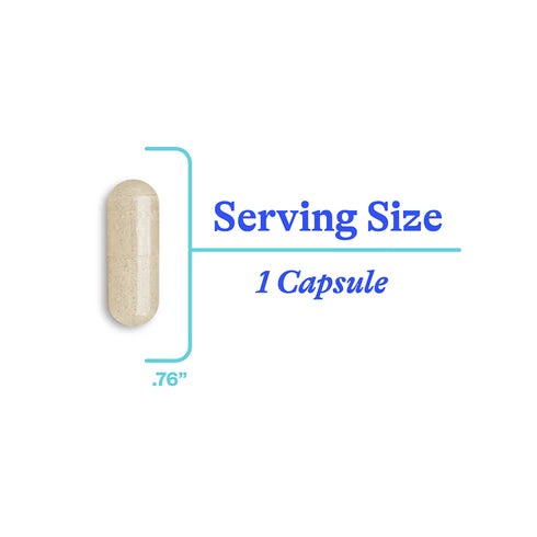Phosphatidyl Serine 60caps-Seeking Health-Matakana Pharmacy