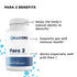 Step 2 Foundation Protocol Gut & Immune Support-Matakana Pharmacy