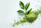 Pea Leaf Powder Organic 1kg-Matakana Superfoods-Matakana Pharmacy