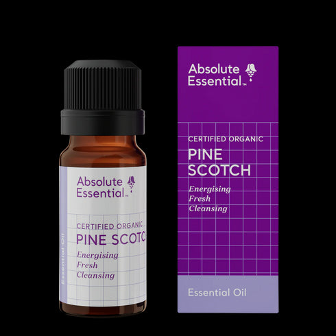 Pine Scotch Organic Oil 10ml-Absolute Essential-Matakana Pharmacy